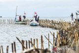 Sejumlah nelayan membongkar pagar laut yang terpasang di kawasan pesisir Tanjung Pasir, Kabupaten Tangerang, Banten, Sabtu (18/1/2025). Sebanyak 600 personel TNI AL dan para nelayan Tanjung Pasir membongkar pagar laut tanpa izin dengan target penyelesaian selama 10 hari dengan jarak sepanjang 30,16 km. ANTARA FOTO/Rivan Awal Lingga/YU/gp