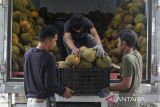 Pekerja menurunkan buah durian untuk dijual di Kota Serang, Banten, Senin (20/1/2025). Badan Pusat Statistik (BPS) mencatat total ekspor durian Indonesia sepanjang tahun 2024 mencapai 600 ton senilai 1,8 juta dolar Amerika Serikat atau sekitar Rp29,4 miliar, dengan Thailand dan Hong Kong sebagai pasar utama. ANTARA FOTO/Angga Budhiyanto/gp