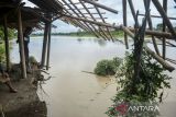 Warga melihat kondisi tanah yang amblas akibat abrasi sungai Ciujung di Desa Bojong Catang, Kabupaten Serang, Banten, Senin (20/1/2025). Sebanyak 15 rumah yang bermukim di bantaran sungai Ciujung tersebut terancam roboh akibat adanya abrasi yang terus menggerus tanah seiring dengan meningkatnya intensitas hujan beberapa hari terakhir. ANTARA FOTO/Muhammad Bagus Khoirunas/gp