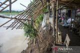 Warga melihat kondisi tanah yang amblas akibat abrasi sungai Ciujung di Desa Bojong Catang, Kabupaten Serang, Banten, Senin (20/1/2025). Sebanyak 15 rumah yang bermukim di bantaran sungai Ciujung tersebut terancam roboh akibat adanya abrasi yang terus menggerus tanah seiring dengan meningkatnya intensitas hujan beberapa hari terakhir. ANTARA FOTO/Muhammad Bagus Khoirunas/gp