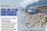 Total jadi  75 ton Kematian ikan di Danau Maninjau