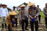 Polres Natuna tanam 17.500 benih jagung di lahan 1,5 hektare