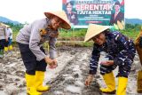 Polres Lingga Kepri jalankan program tanam jagung di lahan 4 hektare