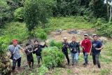 Polisi Aceh ungkap sehektare ladang ganja