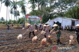 Polda Sulut tanam jagung  di lahan 105,7 ha dukung ketahanan pangan