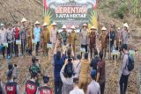 Pemkab Murung Raya siapkan 20 hektar jadi lokasi tanam jagung