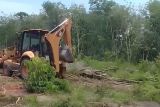 Petani Desa Catur Tunggal OKI ganti karet ke sawit