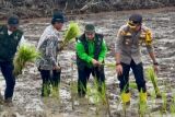 Distan Kapuas nilai program cetak sawah relevan dengan kebutuhan daerah