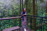 Wamenpar mempromosikan wisata alam DeLoano Glamping Kulon Progo