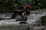 Wisatawan menyusuri aliran Sungai Cikalumpang menggunakan ban saat mengunjungi wisata alam Kampoeng 165 di Padarincang, Kabupaten Serang, Banten, Sabtu (25/1/2025). Objek wisata alam tersebut menjadi salah satu tujuan wisata yang ramai dikunjungi saat akhir pekan dan libur panjang Isra Miraj hingga Tahun Baru Imlek 2025 dengan menawarkan sejumlah fasilitas seperti area untuk berkemah serta wahana susur sungai menggunakan ban atau river tubing. ANTARA FOTO/Angga Budhiyanto/gp