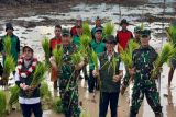 Kalteng dapat alokasi cetak sawah 102.000 hektare