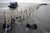 KKP ambil langkah tegas soal pagar laut di Bekasi