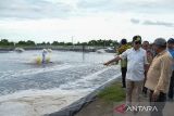 Pj Gubernur ajak milenial di NTB bangun usaha kelautan dan perikanan