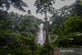 Wisatawan melihat pemandangan air terjun di curug Cimanggung, Pandeglang, Banten, Minggu (26/1/2025). Curug Cimanggung yang memiliki air terjun setinggi sekitar 50 meter tersebut merupakan salah satu air terjun tertinggi di Kabupaten Pandeglang dan berpotensi menjadi destinasi wisata unggulan yang dapat meningkatkan kunjungan pariwisata serta ekonomi masyarakat di kawasan tersebut. ANTARA FOTO/Muhammad Bagus Khoirunas/gp