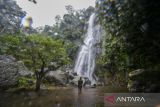 Wisatawan melihat pemandangan air terjun di curug Cimanggung, Pandeglang, Banten, Minggu (26/1/2025). Curug Cimanggung yang memiliki air terjun setinggi sekitar 50 meter tersebut merupakan salah satu air terjun tertinggi di Kabupaten Pandeglang dan berpotensi menjadi destinasi wisata unggulan yang dapat meningkatkan kunjungan pariwisata serta ekonomi masyarakat di kawasan tersebut. ANTARA FOTO/Muhammad Bagus Khoirunas/gp