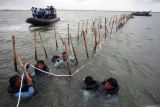 Pakar UGM tegaskan penyelesaian kasus pagar laut berfokus aspek hukum