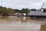 Puluhan rumah di Dusun Mamput Kapuas Tengah terendam banjir