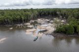 Kawasan hutan mangrove yang rusak akibat penambangan biji timah ilegal di perairan Teluk Kelabat Dalam, Belinyu, Kabupaten Bangka, Kepulauan Bangka Belitung, Minggu (26/1/2025). Kerusakan kawasan hutan mangrove di daerah tersebut dikarenakan maraknya penambangan biji timah ilegal. ANTARA FOTO/Nova Wahyudi/foc.