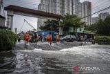 BNPB dan BMKG soroti ancaman abrasi di pantai utara Pulau Jawa