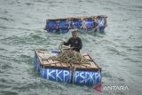 Seorang Taruna Politeknik Ahli Usaha Perikanan (AUP) mengulur tali untuk bersandar ke kapal di kawasan pesisir Pantai Citius, Kabupaten Tangerang, Banten, Selasa (28/1/2024). Operasi pencabutan pagar laut sepanjang 30,16 kilometer tersebut ditunda akibat terkendala cuaca buruk dan ombak kencang. ANTARA FOTO/Putra M. Akbar/gp