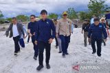 Menteri LH segera selidiki 41 ribu hektare lahan rusak di Katingan