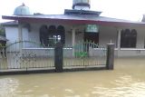 Sebanyak 220 KK terdampak banjir di Poso