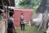 Polisi Pesisir Barat gencarkan fogging berantas nyamuk penyebab DBD