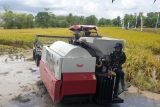 Dintan Sumsel-Korem Gapo sinergi cetak sawah baru