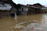 Tujuh desa di Kabupaten Pati dilanda banjir