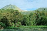 Badan Geologi imbau warga  patuhi radius bahaya Gunung Lokon