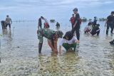 Kodim bersama pelajar tanam bakau di Majene