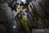 Pemetaan dan pendataan kawasan karst di Tasikmalaya. Pegiat susur gua yang tergabung Tasikmalaya Caving Community (TCC) melakukan susur Gua Cikalong di Kabupaten Tasikmalaya, Jawa Barat, Minggu (2/2/2025). Kegiatan pemetaan dan pendataan gua itu, dilakukan untuk meneliti ekosistem mikroorganisme di dalam gua yang berada di kawasan karst, dengan memiliki kadar air 7,6 pH (potential hydrogen) dan 132 ppm (part per million) serta total panjang gua mencapai 54 meter. ANTARA FOTO/Adeng Bustomi/ANTARA FOTO/ADENG BUSTOMI (ANTARA FOTO/ADENG BUSTOMI)