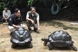 Menteri Kehutanan (Menhut) Raja Juli Antoni (kanan) didampingi pemilik deHakims Aviary Irfan Hakim (kedua kiri) mengamati kura-kura aldabra di Pondok Gede, Bekasi, Jawa Barat, Minggu (2/2/2025). Pada kunjungan tersebut Menhut melihat 150 satwa dan habitat penangkaran burung di deHakims Aviary yang memiliki luas 600 meter persegi. ANTARA FOTO/ Fakhri Hermansyah/rwa.