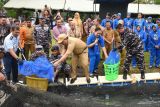 Lantamal VI Makassar panen dan tabur benih ikan dukung ketahanan pangan