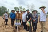 6.000 hektare hutan sosial Lampung berpotensi untuk ketahanan pangan