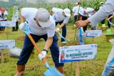 Semen Gresik tanam 1.000 pohon kaliandra di Edupark Pabrik Rembang