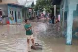 Banjir rob terjadi di Kabupaten Kupang