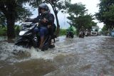 Sejumlah kendaraan menerobos banjir di jalan raya pantura (Pantura) Desa Pasir Putih, Bungatan, Situbondo, Jawa Timur, Rabu (5/2/2025). Banjir luapan air sungai tersebut membawa material batu, pasir yang menutup akses jalan raya Pantura Situbondo mengakibatkan kemacetan sekitar delapan kilometer dari arah Surabaya ke Banyuwangi dan sebaliknya. Antara Jatim/Seno/um