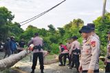 Pelajar SMA tewas tertimpa pohon tumbang