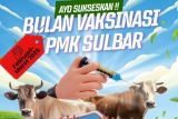 Cegah penyakit, 9.000 ternak di Sulbar divaksin