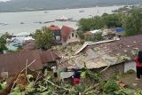 Hujan dan angin kencang di Ambon rusak rumah warga, 11 pohon tumbang