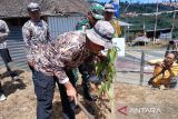 Temanggung tanam  sejuta pohon buah untuk konservasi lingkungan