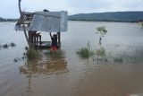Dua anak bermain di gubuk lahan pertanian yang terendam banjir di Desa Kendit, Situbondo, Jawa Timur, Kamis (6/2/2025). Dinas Pertanian dan Ketahanan Pangan Kabupaten Situbondo mencatat sekitar 684,5 hektare lahan pertanian di lima kecamatan terendam banjir. Antara Jatim/Seno/um 