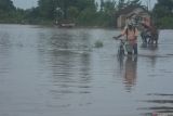 Dua petani melintasi jalan yang terendam banjir di Desa Kendit, Situbondo, Jawa Timur, Kamis (6/2/2025). Dinas Pertanian dan Ketahanan Pangan Kabupaten Situbondo mencatat sekitar 684,5 hektare lahan pertanian di lima kecamatan terendam banjir. Antara Jatim/Seno/um 