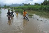 Sejumlah anak melintasi jalan yang terendam banjir di Desa Kendit, Situbondo, Jawa Timur, Kamis (6/2/2025). Dinas Pertanian dan Ketahanan Pangan Kabupaten Situbondo mencatat sekitar 684,5 hektare lahan pertanian di lima kecamatan terendam banjir. Antara Jatim/Seno/um