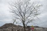 Sejumlah alat berat mengeruk sampah di Tempat Pembuangan Akhir (TPA) Jatiwaringin, Kabupaten Tangerang, Banten, Kamis (6/2/2025). Kementerian Lingkungan Hidup berencana menutup tiga TPA di wilayah Tangerang yang masih mengelola sampah dengan metode lahan terbuka atau open dumping yaitu TPA Jatiwaringin, TPA Rawa Kucing dan TPA Cipeucang. ANTARA FOTO/Putra M. Akbar/gp