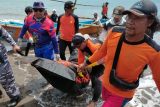 Tim SAR temukan wisatawan yang terseret ombak di Pantai Madasari Pangandaran