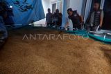 Polisi menunjukkan barang bukti kasus narkotika jenis tembakau sintetis saat rilis di Sentul, Kabupaten Bogor, Jawa Barat, Rabu (5/2/2025). Direktorat Narkoba Polda Jabar bersama Polres Bogor berhasil membongkar pabrik tembakau sintetis yang beroperasi di sebuah perumahan di Sentul dan menahan dua tersangkanya berinisial HP dan AA serta barang bukti 1 ton tembakau sintetis senilai Rp355 miliar. ANTARA FOTO/Yulius Satria Wijaya/tom.