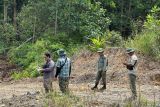 Polisi tangkap lima pelaku diduga perambah hutan lindung di Riau