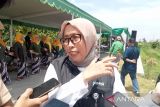 Bulog Yogyakarta serap gabah petani Bantul dengan harga Rp6.500 per kilogram